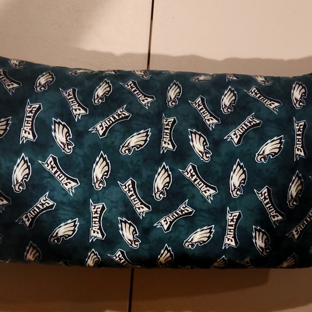 Philadelphia eagles pillow